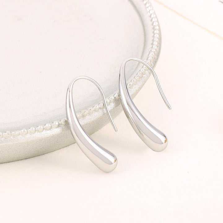 Drop Earrings Stainless Steel Hoop Earrings - kalen