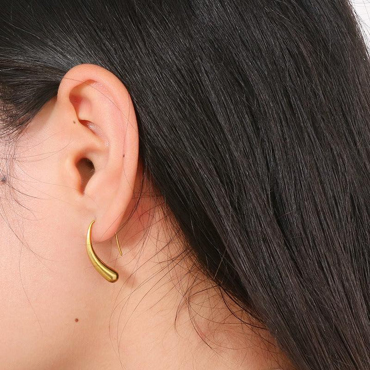 Drop Earrings Stainless Steel Hoop Earrings - kalen