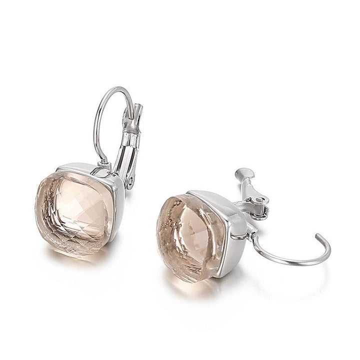 Stainless Steel Crystal Glass Hoop Earrings - kalen