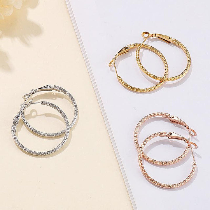 Stainless Steel Twist Circle Hoop Earrings - kalen