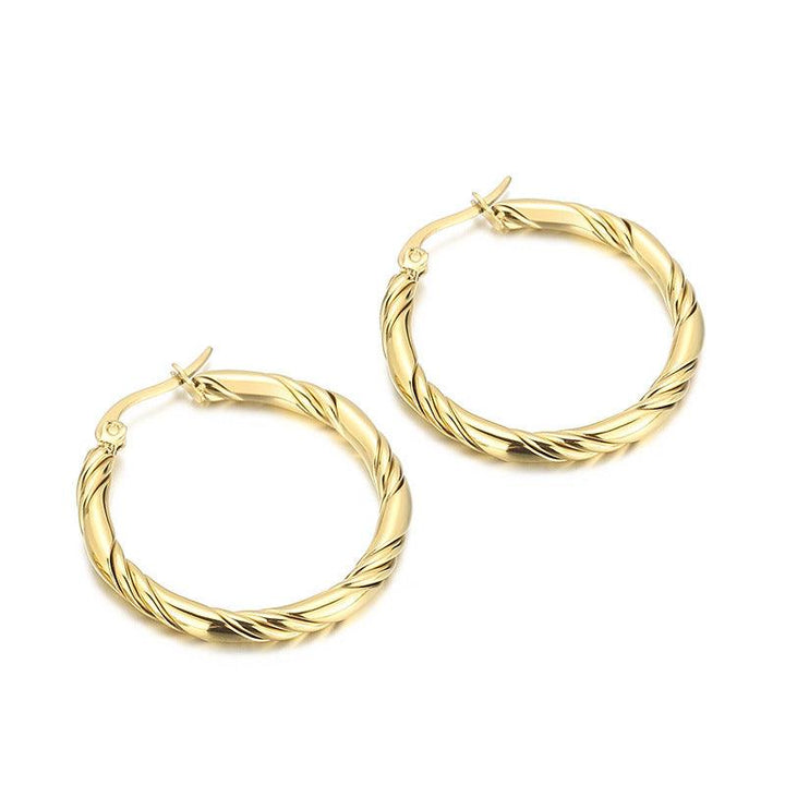 Stainless Steel Twist Circle Hoop Earrings - kalen