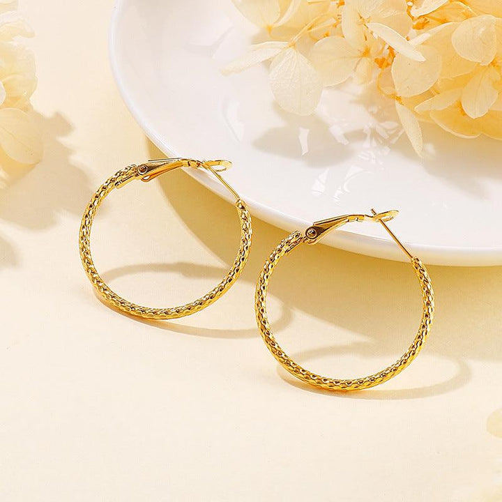 Stainless Steel Twist Circle Hoop Earrings - kalen