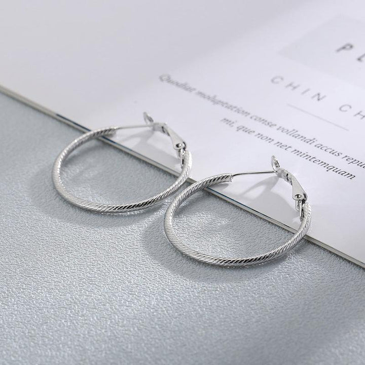 Stainless Steel Twist Circle Hoop Earrings - kalen