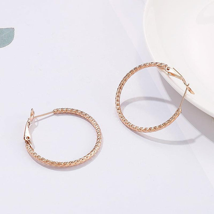 Stainless Steel Twist Circle Hoop Earrings - kalen