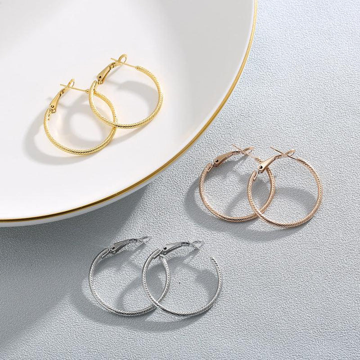 Stainless Steel Twist Circle Hoop Earrings - kalen