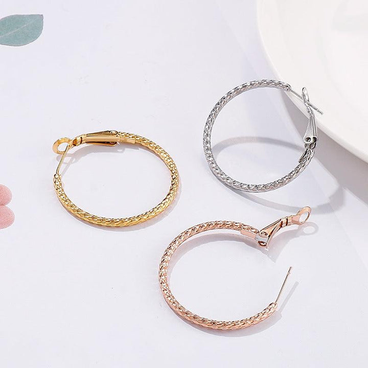 Stainless Steel Twist Circle Hoop Earrings - kalen