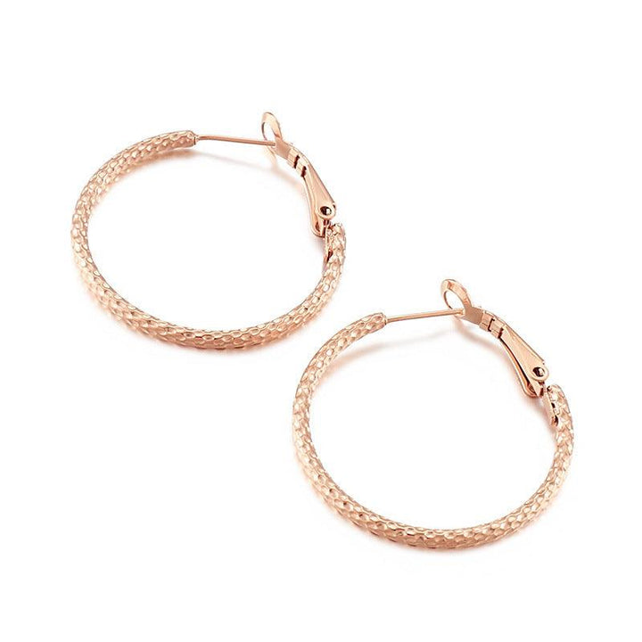 Stainless Steel Twist Circle Hoop Earrings - kalen