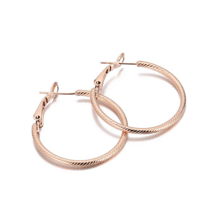 Stainless Steel Twist Circle Hoop Earrings - kalen