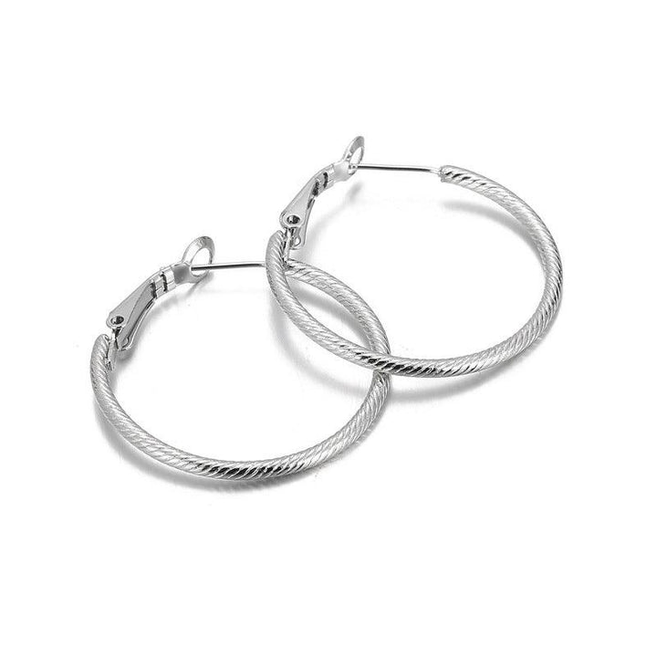 Stainless Steel Twist Circle Hoop Earrings - kalen