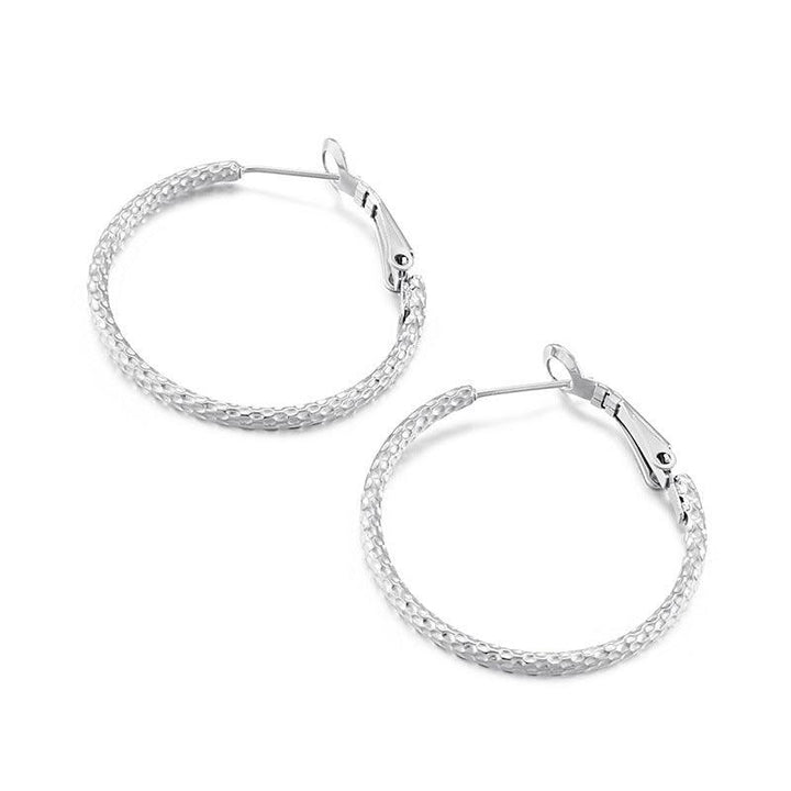 Stainless Steel Twist Circle Hoop Earrings - kalen